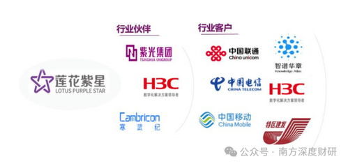 從調(diào)味品到AI新勢力 蓮花控股業(yè)績領(lǐng)跑同行，科技版圖再落信息技術(shù)咨詢服務(wù)關(guān)鍵一子